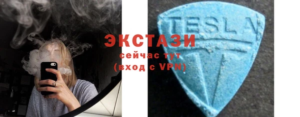 гидра Абаза