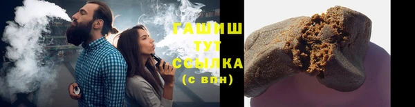 гидра Абаза