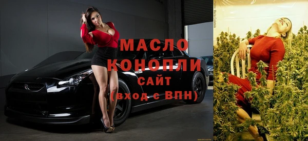 гидра Абаза