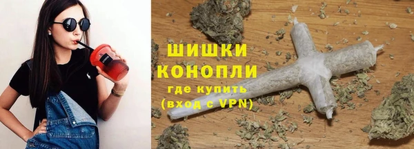 гидра Абаза